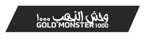 Afyon Minelab Gold Monster 1000 - Gold Monster 1000 küçük altın dedektörü